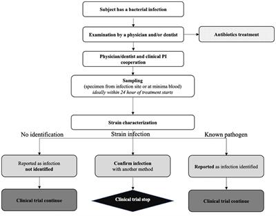 Entering First-in-Human Clinical Study With a Single-Strain Live Biotherapeutic Product: Input and Feedback Gained From the EMA and the FDA